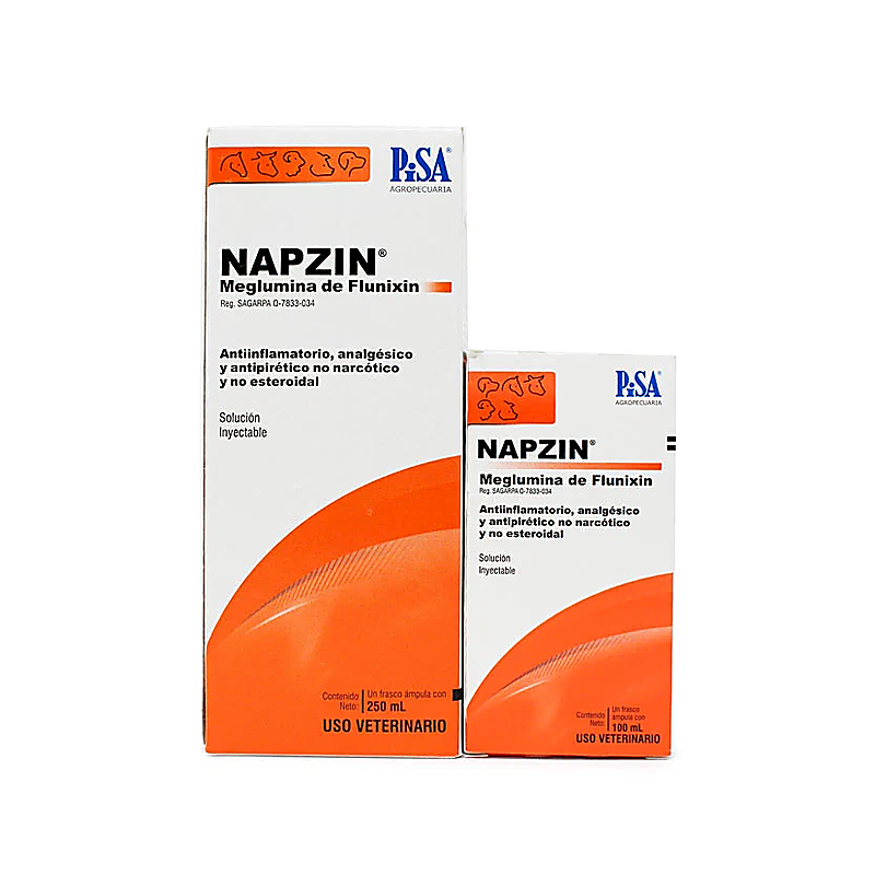 Napzin Pisa