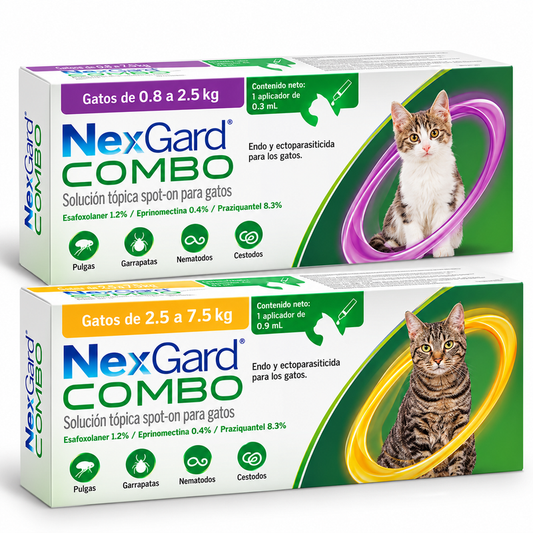 NexGard Combo Pipeta para Gato