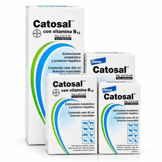 Catosal® con Vitamina B12