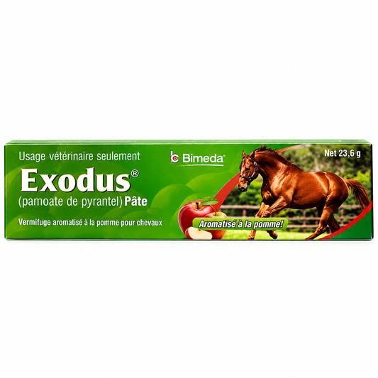 EXODUS PASTA BIMEDA