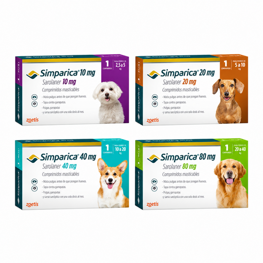 Simparica 1 Masticables