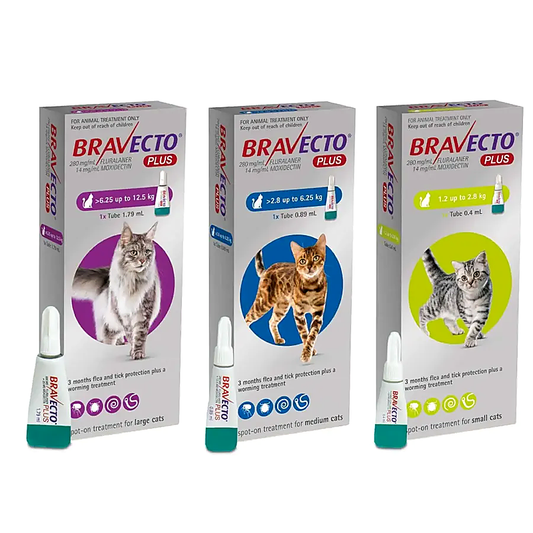 Bravecto Plus Gato