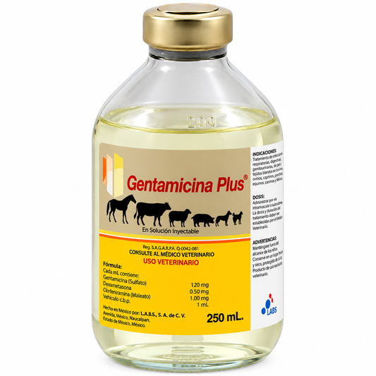 Gentamicina Plus LEBS