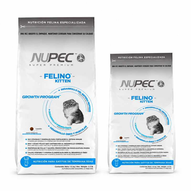 Nupec Felino Kitten