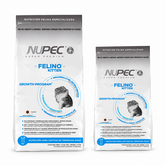 Nupec Felino Kitten