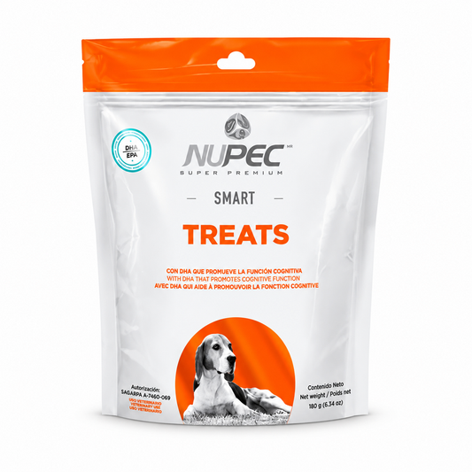 Nupec Smart