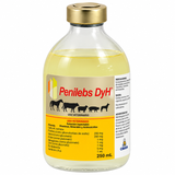 Penilebs Dyh