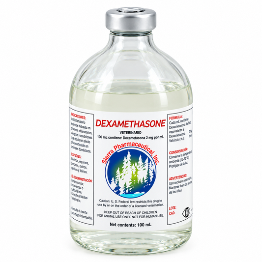 Dexametasona LEBS 100 ml