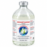 Dexametasona LEBS 100 ml