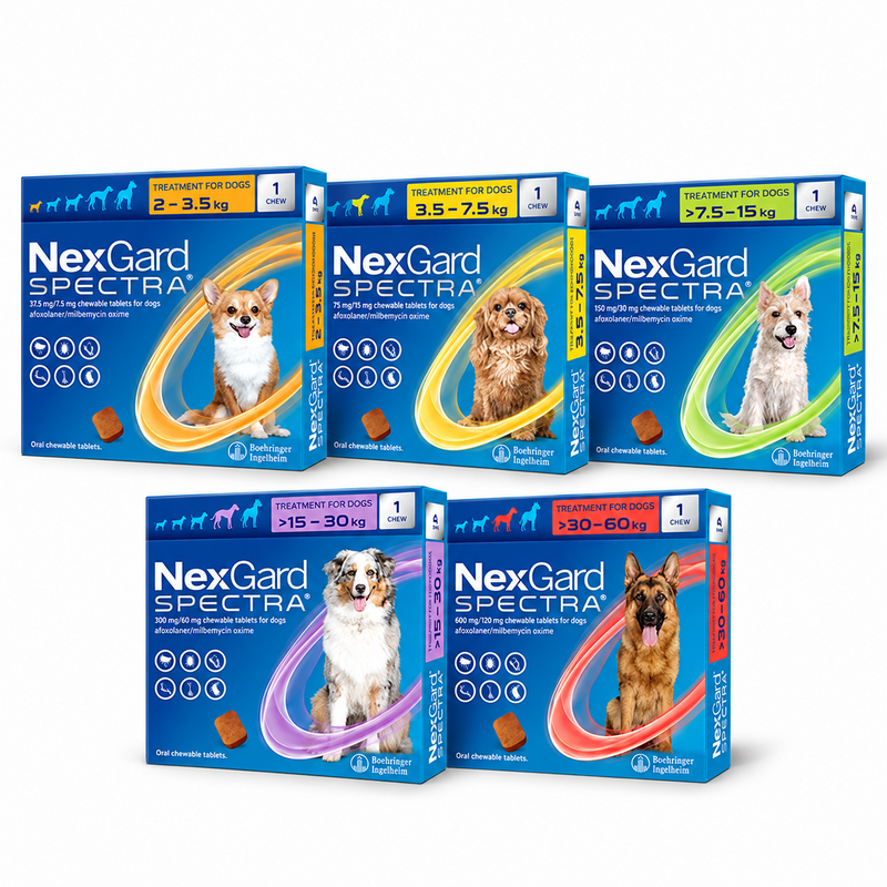 NexGard SPECTRA® 1 Tableta