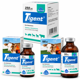 Tigent Biozoo